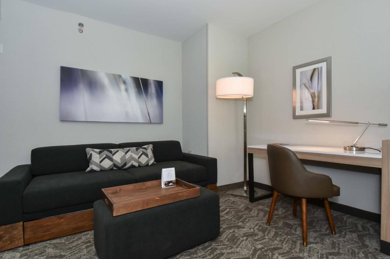 Springhill Suites By Marriott Charlotte City Center מראה חיצוני תמונה